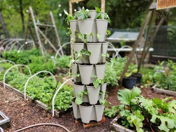 Vertical garden for small space
